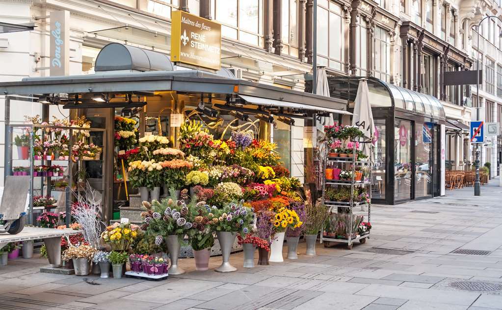 Hotel Calmo Wien Tiện nghi bức ảnh