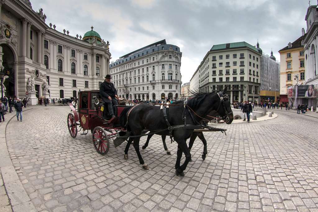 Hotel Calmo Wien Tiện nghi bức ảnh